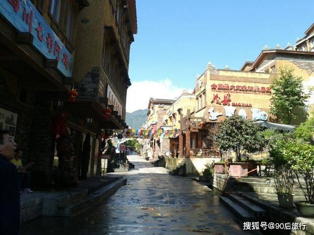 探寻金钗石斛和铁皮石斛都是什么价格?的乐趣